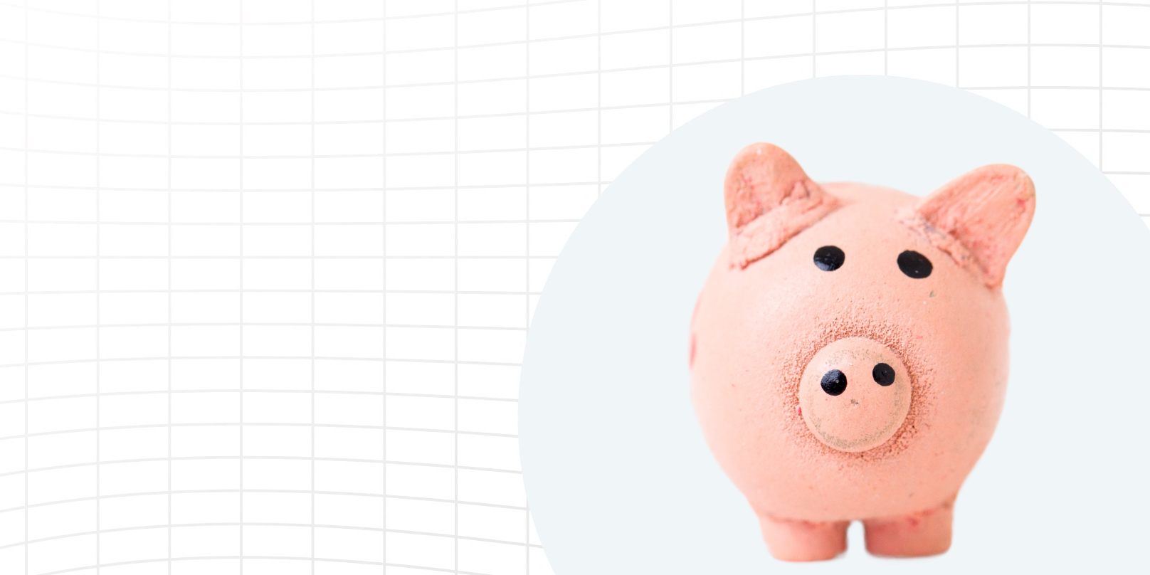 Pig - zero-based budgeting blog-2