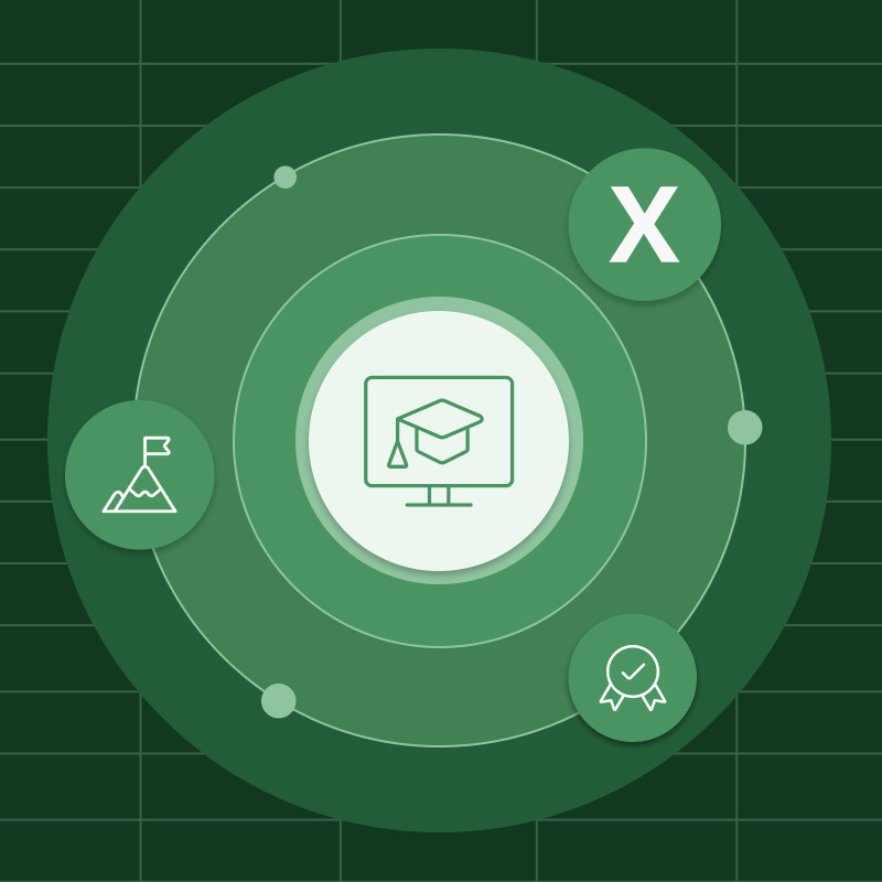 An illustration of a series of circles with an icon of a graduation cap on a computer monitor in the center, surrounded by three icons: the Excel logo, a prize ribbon and a mountain with a flag at the summit