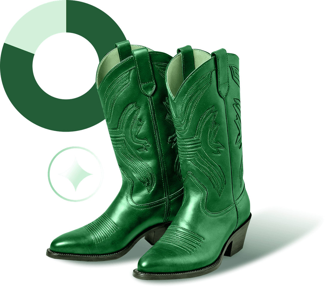 Green leather cowboy boots with a pie chart in the background