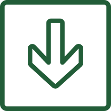 down-arrow-icon