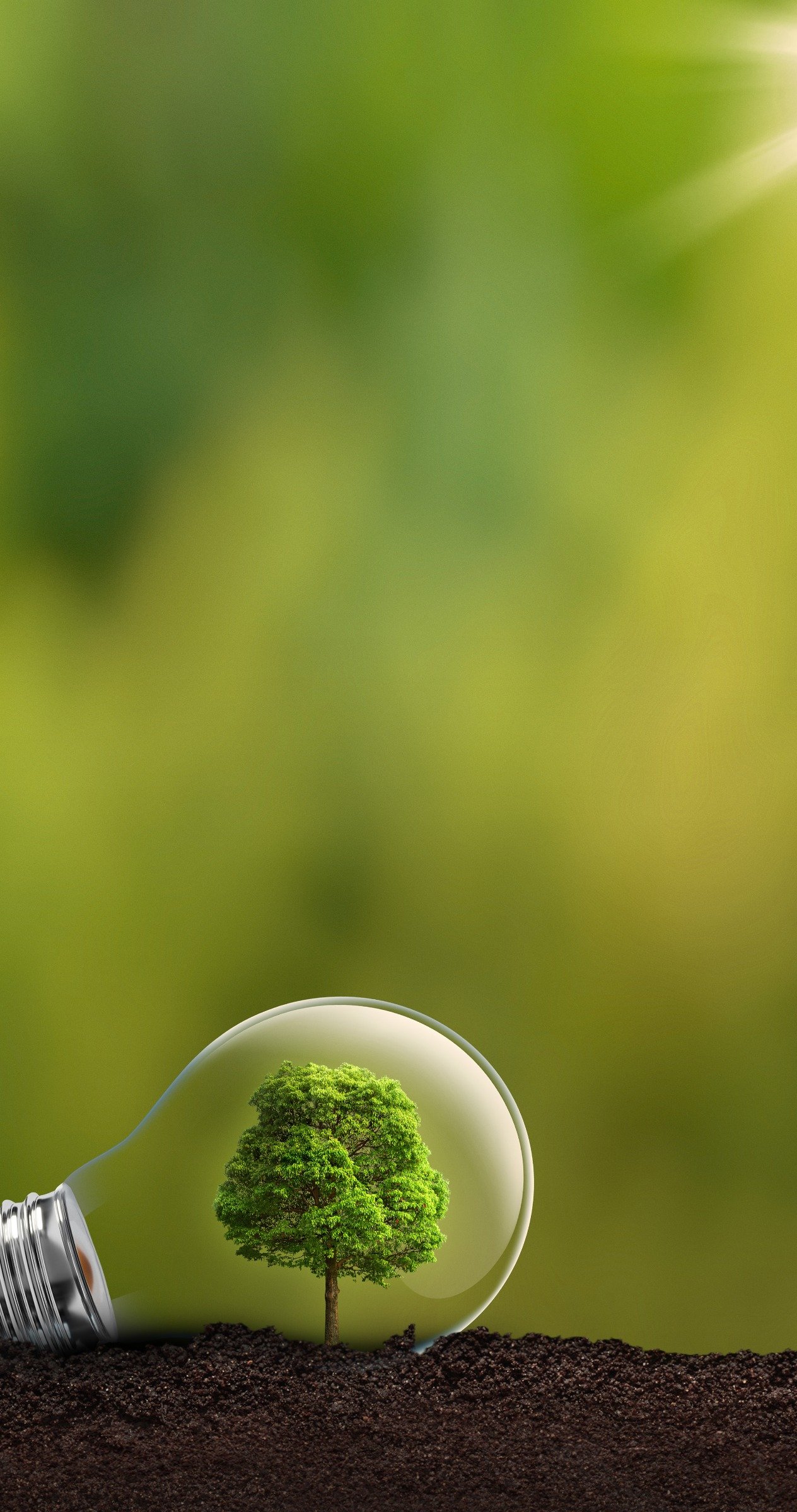 A tree inside a light bulb