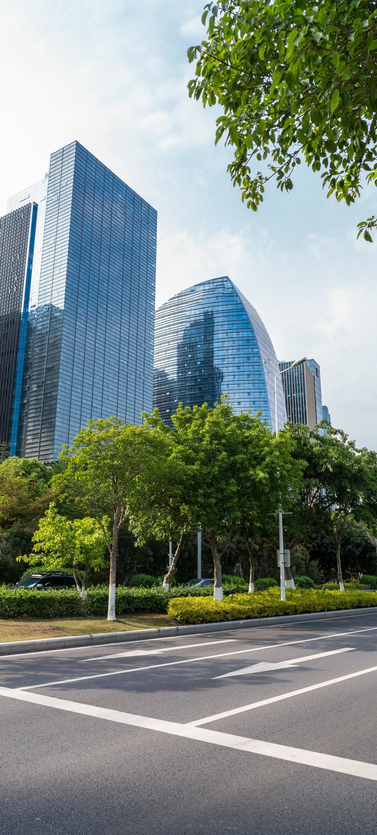 Trees in front of skyscrapers