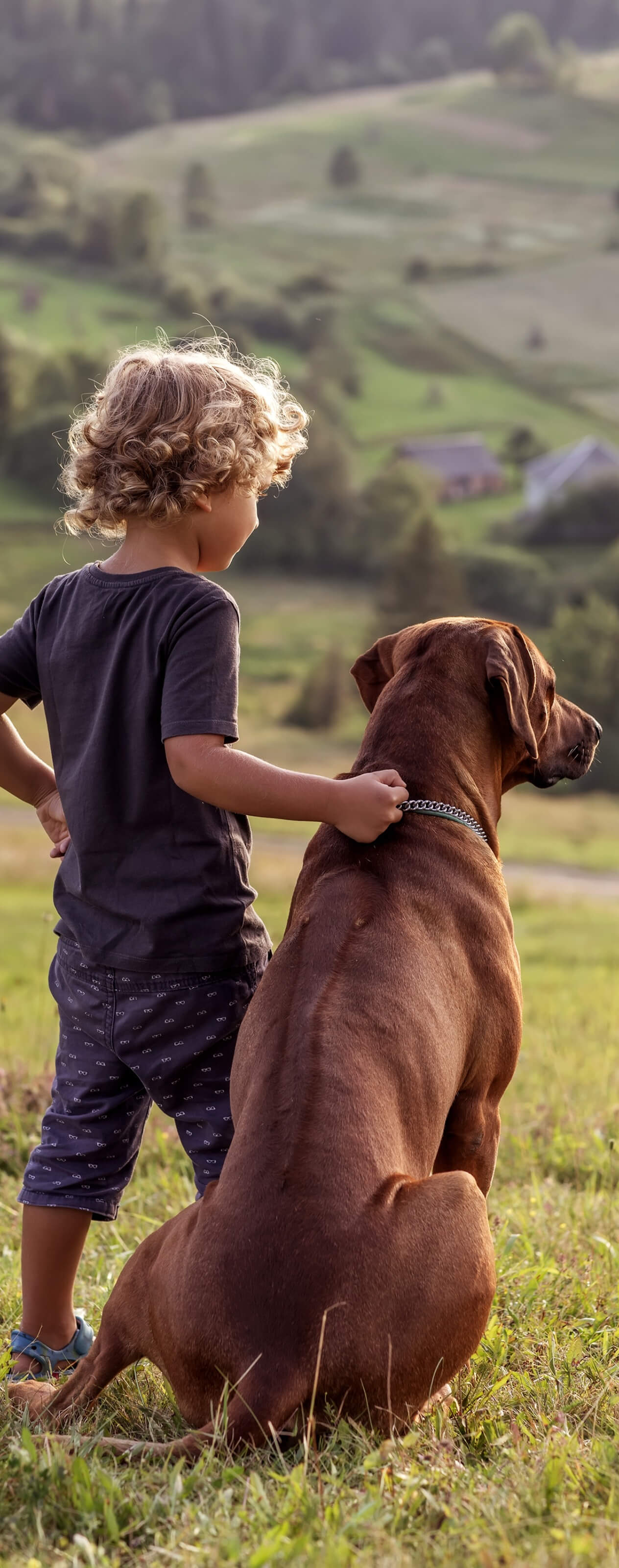 A boy and a dog